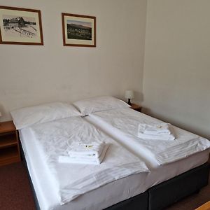Pokój typu standard z łóżkiem king-size